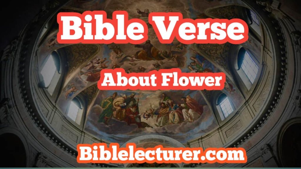 Bible Verses About Flowers Bible Verses About Flowers