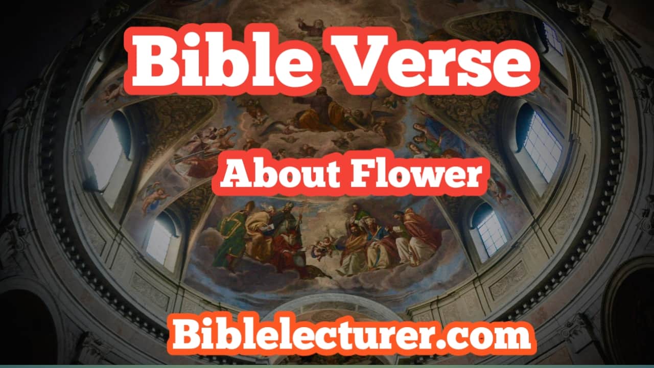 Bible Verses About Flowers